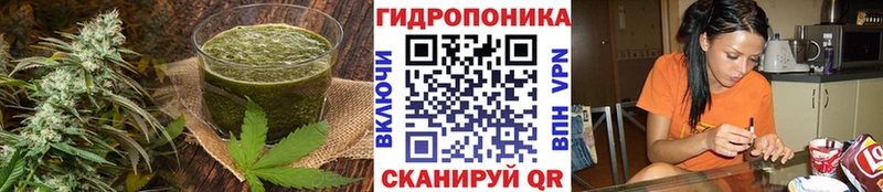 Купить  Лосино-Петровский  Canna-Cookies конопля 