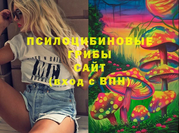 дмт Михайловск