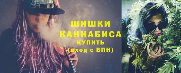 сатива Михайлов